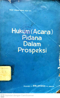 Hukum Acara Pidana Dalam Prospeksi