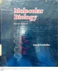 Molecular Biology (Edition 2)