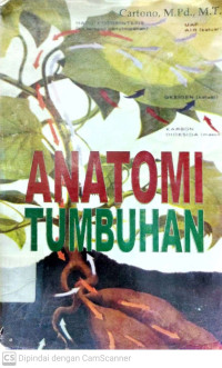 Anatomi Tumbuhan