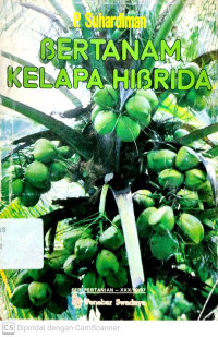 Bertanam Kelapa Hibrida