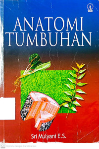 Anatomi Tumbuhan